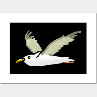 Seagull Posters and Art